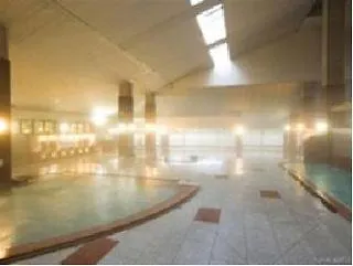 ****  Hotel Kitayuzawa Mori No Soraniwa Sobetsu Japonia